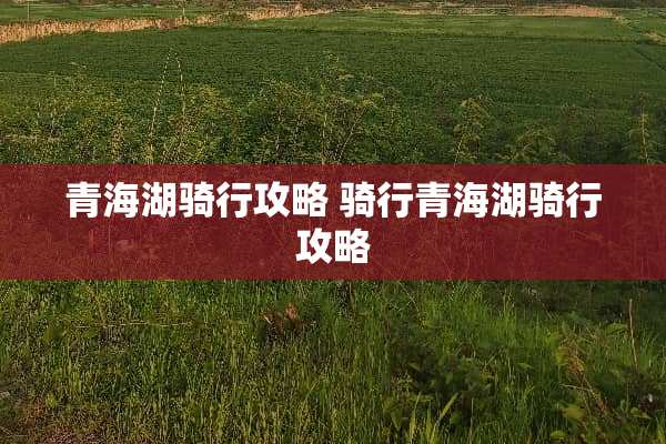 青海湖骑行攻略 骑行青海湖骑行攻略