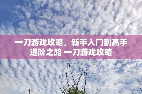 一刀游戏攻略，新手入门到高手进阶之路 一刀游戏攻略