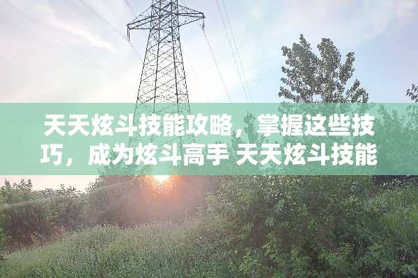 天天炫斗技能攻略,掌握这些技巧,成为炫斗高手 天天炫斗技能 天天炫斗技能攻略,掌握这些技巧,成为炫斗高手 天天炫斗技能
