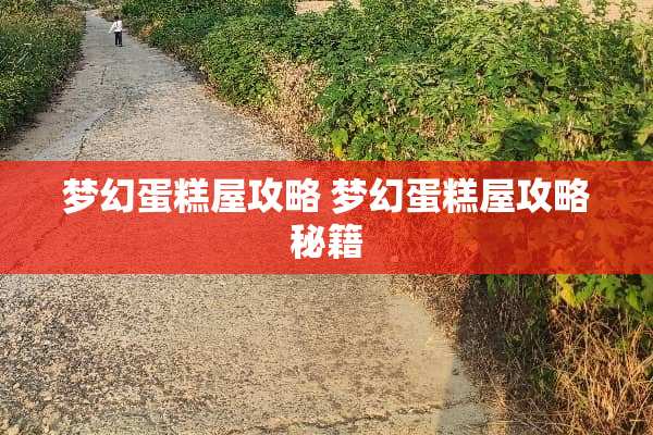 梦幻蛋糕屋攻略 梦幻蛋糕屋攻略秘籍