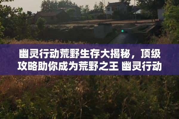 幽灵行动荒野生存大揭秘，**攻略助你成为荒野之王 幽灵行动荒野攻略