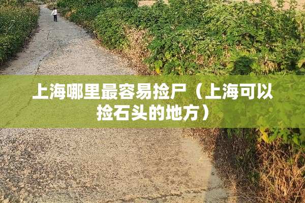 上海哪里最容易捡尸(上海可以捡石头的地方) 上海哪里最容易捡尸(上海可以捡石头的地方)