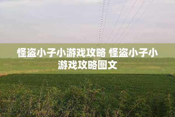 怪盗小子小游戏攻略 怪盗小子小游戏攻略图文