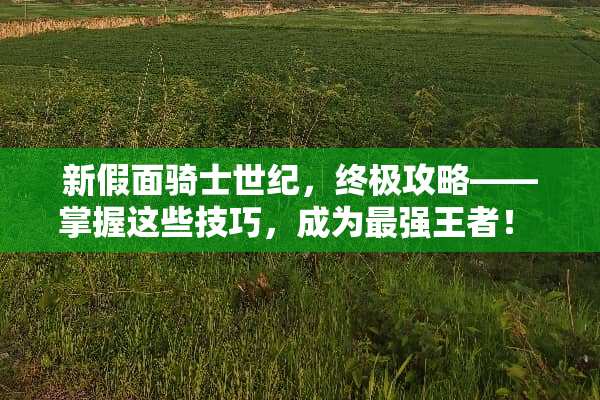 新假面骑士世纪,终极攻略——掌握这些技巧,成为最强王者! 新假面骑士世纪游戏攻略 新假面骑士世纪,终极攻略——掌握这些技巧,成为最强王者! 新假面骑士世纪游戏攻略