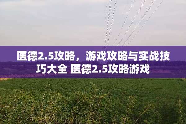 医德2.5攻略,游戏攻略与实战技巧大全 医德2.5攻略游戏 医德2.5攻略,游戏攻略与实战技巧大全 医德2.5攻略游戏