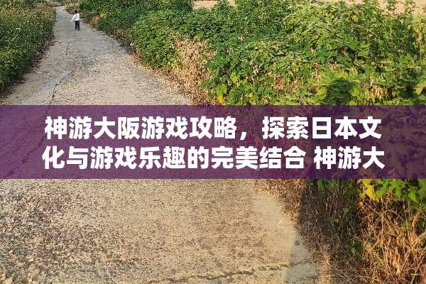 神游大阪游戏攻略,探索日本文化与游戏乐趣的完美结合 神游大阪游戏攻略 神游大阪游戏攻略,探索日本文化与游戏乐趣的完美结合 神游大阪游戏攻略