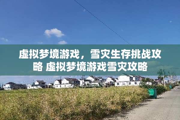 虚拟梦境游戏，雪灾生存挑战攻略 虚拟梦境游戏雪灾攻略