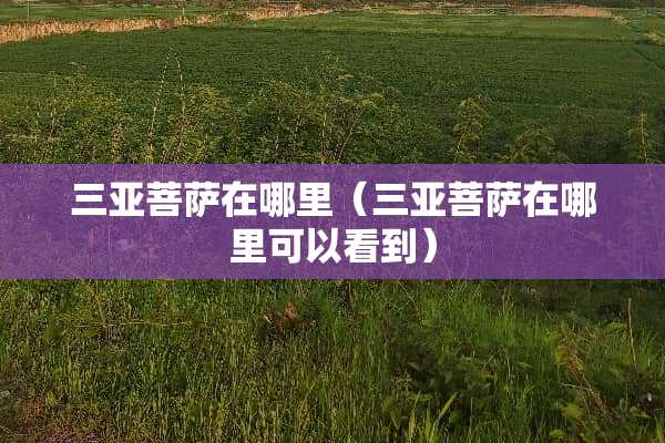 三亚菩萨在哪里(三亚菩萨在哪里可以看到) 三亚菩萨在哪里(三亚菩萨在哪里可以看到)