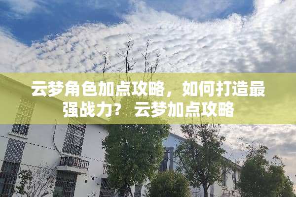 云梦角色加点攻略，如何打造最强战力？ 云梦加点攻略