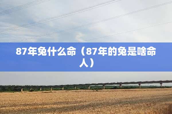 87年兔什么命(87年的兔是啥命人) 87年兔什么命(87年的兔是啥命人)