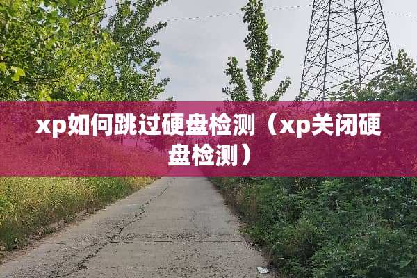 xp如何跳过硬盘检测(xp关闭硬盘检测) xp如何跳过硬盘检测(xp关闭硬盘检测)