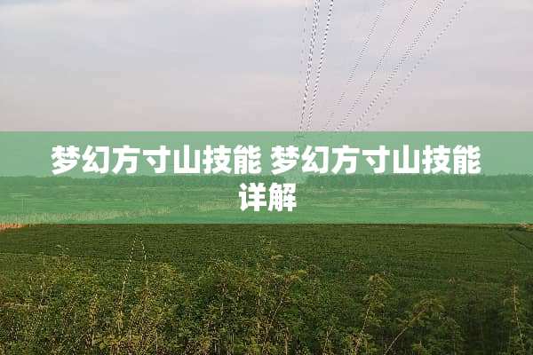 梦幻方寸山技能 梦幻方寸山技能详解 梦幻方寸山技能 梦幻方寸山技能详解