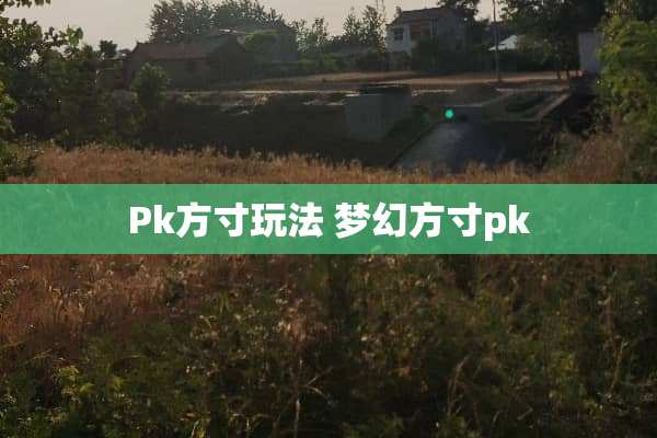 Pk方寸玩法 梦幻方寸pk Pk方寸玩法 梦幻方寸pk