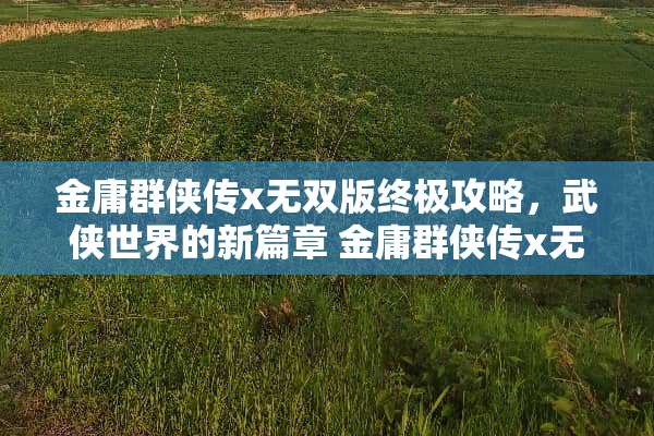 金庸群侠传x无双版终极攻略,武侠世界的新篇章 金庸群侠传x无双版攻略 金庸群侠传x无双版终极攻略,武侠世界的新篇章 金庸群侠传x无双版攻略