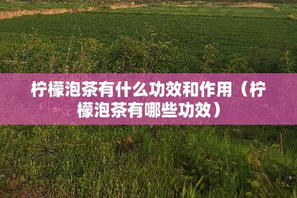 柠檬泡茶有什么功效和作用(柠檬泡茶有哪些功效) 柠檬泡茶有什么功效和作用(柠檬泡茶有哪些功效)