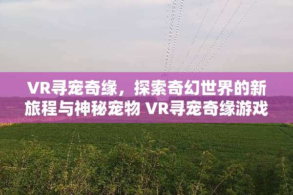 VR寻宠奇缘,探索奇幻世界的新旅程与神秘宠物 VR寻宠奇缘游戏攻略 VR寻宠奇缘,探索奇幻世界的新旅程与神秘宠物 VR寻宠奇缘游戏攻略