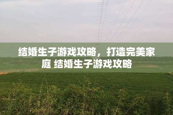 结婚生子游戏攻略,打造完美家庭 结婚生子游戏攻略 结婚生子游戏攻略,打造完美家庭 结婚生子游戏攻略