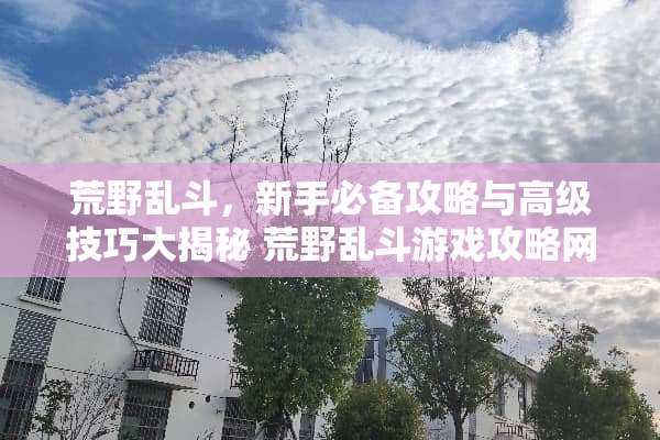 荒野乱斗,新手必备攻略与高级技巧大揭秘 荒野乱斗游戏攻略网 荒野乱斗,新手必备攻略与高级技巧大揭秘 荒野乱斗游戏攻略网