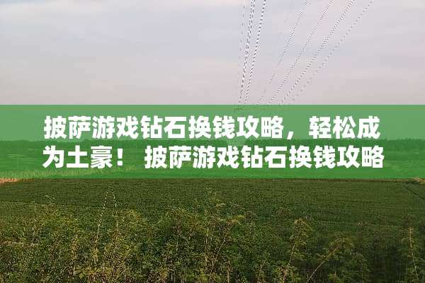 披萨游戏钻石换钱攻略,轻松成为土豪! 披萨游戏钻石换钱攻略 披萨游戏钻石换钱攻略,轻松成为土豪! 披萨游戏钻石换钱攻略
