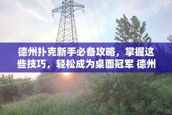 德州**新手必备攻略,掌握这些技巧,轻松成为桌面冠军 德州**攻略 德州**新手必备攻略,掌握这些技巧,轻松成为桌面冠军 德州**攻略