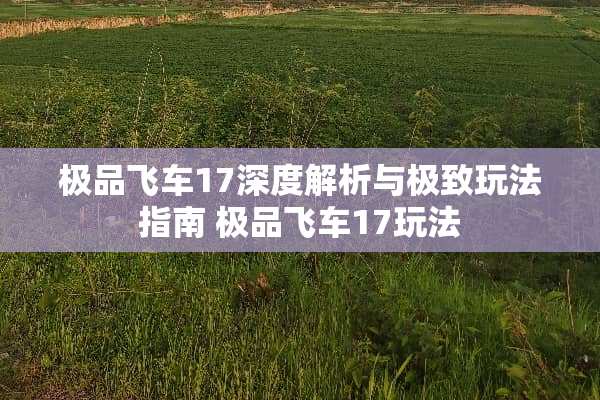 极品飞车17深度解析与极致玩法指南 极品飞车17玩法 极品飞车17深度解析与极致玩法指南 极品飞车17玩法