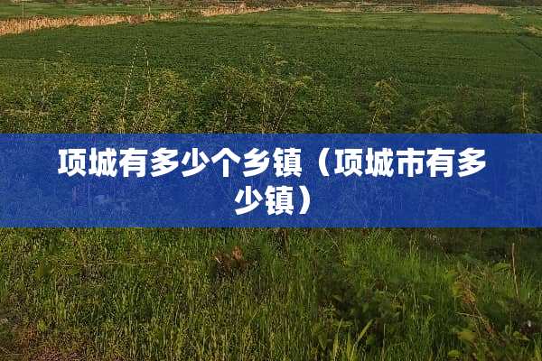 项城有多少个乡镇(项城市有多少镇) 项城有多少个乡镇(项城市有多少镇)