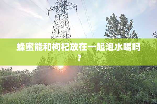 蜂蜜能和枸杞放在一起泡水喝吗？