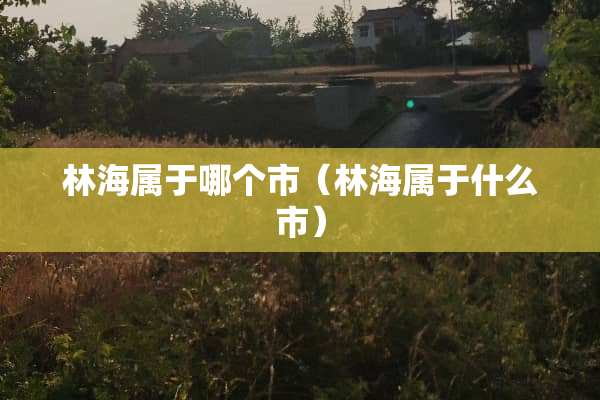 林海属于哪个市(林海属于什么市) 林海属于哪个市(林海属于什么市)