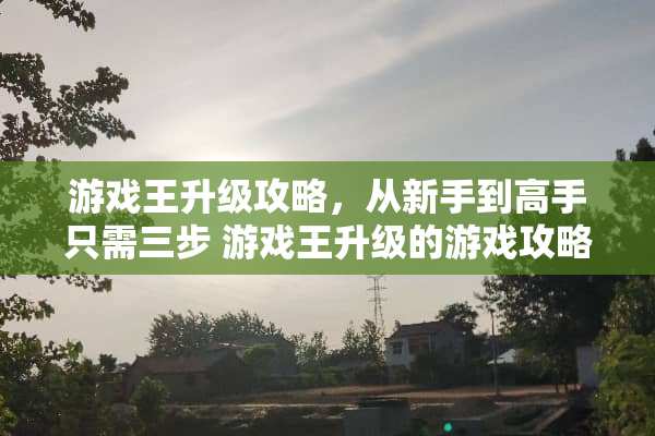 游戏王升级攻略,从新手到高手只需三步 游戏王升级的游戏攻略 游戏王升级攻略,从新手到高手只需三步 游戏王升级的游戏攻略