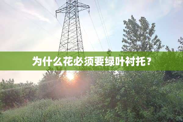 为什么花必须要绿叶衬托？
