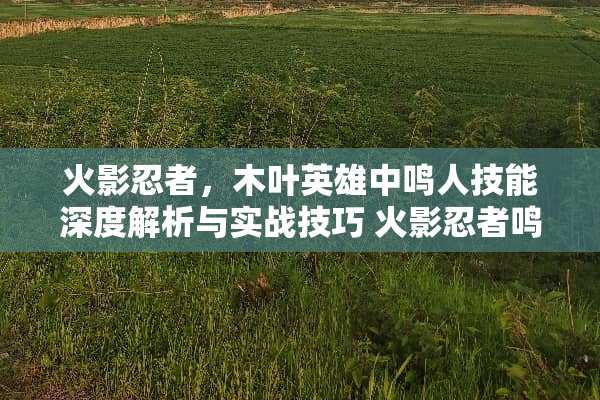火影忍者，木叶英雄中鸣人技能深度解析与实战技巧 火影忍者鸣人技能