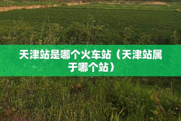 天津站是哪个火车站(天津站属于哪个站) 天津站是哪个火车站(天津站属于哪个站)
