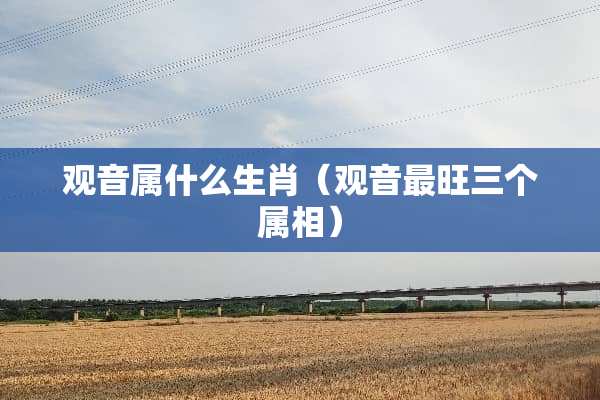 观音属什么生肖(观音最旺三个属相) 观音属什么生肖(观音最旺三个属相)