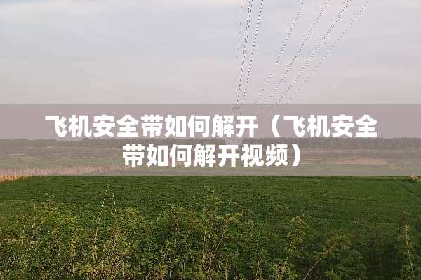 飞机安全带如何解开(飞机安全带如何解开视频) 飞机安全带如何解开(飞机安全带如何解开视频)