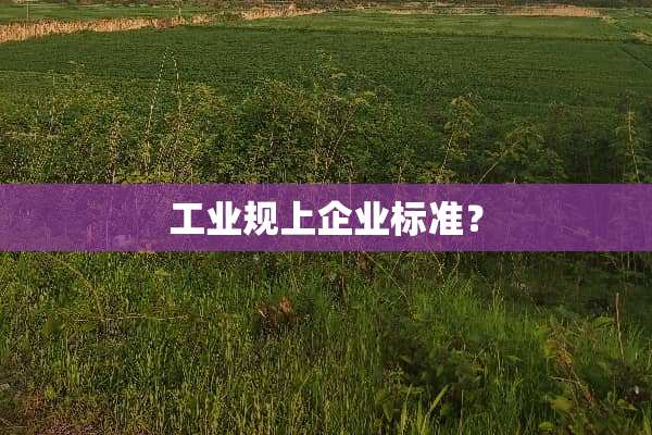 工业规上企业标准？