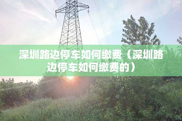 深圳路边停车如何缴费(深圳路边停车如何缴费的) 深圳路边停车如何缴费(深圳路边停车如何缴费的)