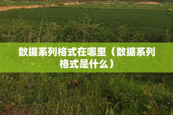 数据系列格式在哪里(数据系列格式是什么) 数据系列格式在哪里(数据系列格式是什么)