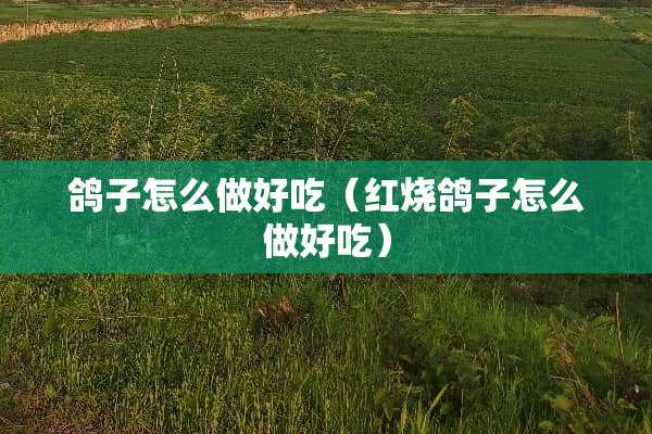 鸽子怎么做好吃(红烧鸽子怎么做好吃) 鸽子怎么做好吃(红烧鸽子怎么做好吃)