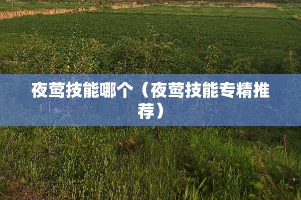 夜莺技能哪个(夜莺技能专精推荐) 夜莺技能哪个(夜莺技能专精推荐)