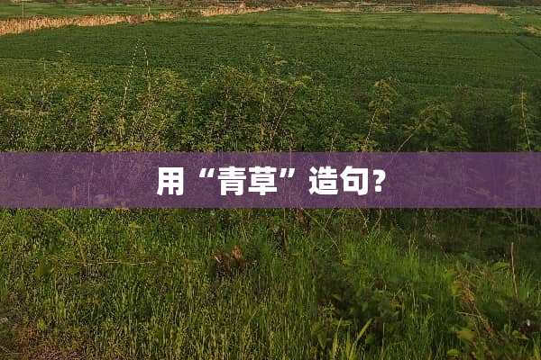 用“青草”造句？