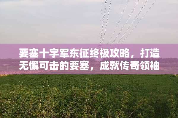 要塞十字军东征终极攻略,打造无懈可击的要塞,成就传奇领袖! 要塞十字军东征攻略 要塞十字军东征终极攻略,打造无懈可击的要塞,成就传奇领袖! 要塞十字军东征攻略