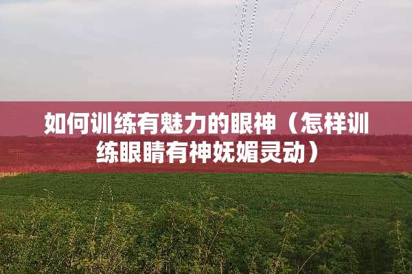 如何训练有魅力的眼神(怎样训练眼睛有神妩媚灵动) 如何训练有魅力的眼神(怎样训练眼睛有神妩媚灵动)
