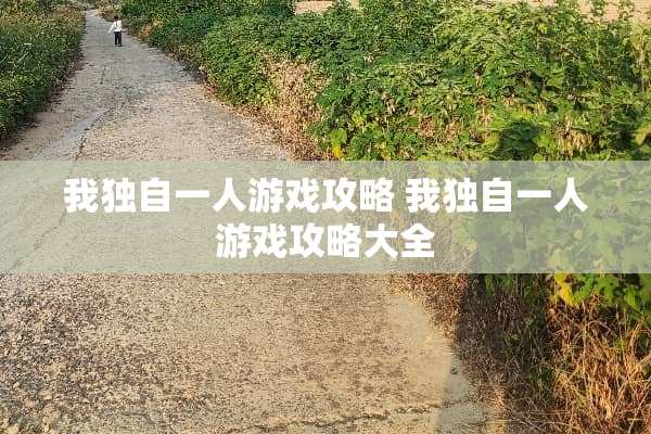 我独自一人游戏攻略 我独自一人游戏攻略大全 我独自一人游戏攻略 我独自一人游戏攻略大全