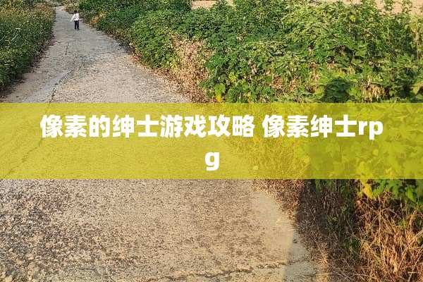 像素的绅士游戏攻略 像素绅士rpg 像素的绅士游戏攻略 像素绅士rpg