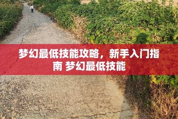 梦幻最低技能攻略,新手入门指南 梦幻最低技能 梦幻最低技能攻略,新手入门指南 梦幻最低技能