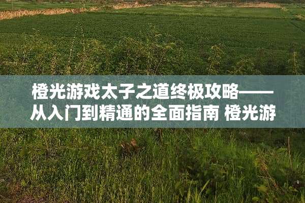 橙光游戏太子之道终极攻略——从入门到精通的全面指南 橙光游戏太子之道攻略 橙光游戏太子之道终极攻略——从入门到精通的全面指南 橙光游戏太子之道攻略