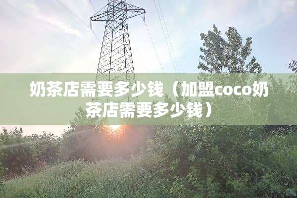 奶茶店需要多少钱(加盟coco奶茶店需要多少钱) 奶茶店需要多少钱(加盟coco奶茶店需要多少钱)