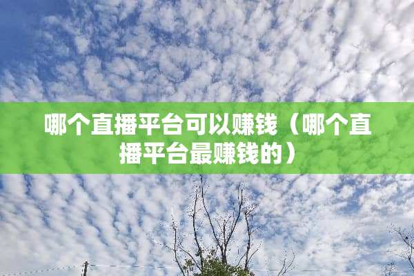 哪个直播平台可以赚钱（哪个直播平台最赚钱的）