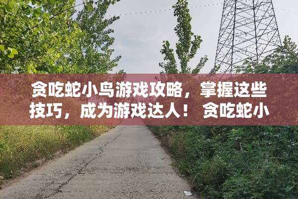 贪吃蛇小鸟游戏攻略,掌握这些技巧,成为游戏达人! 贪吃蛇小鸟游戏攻略 贪吃蛇小鸟游戏攻略,掌握这些技巧,成为游戏达人! 贪吃蛇小鸟游戏攻略