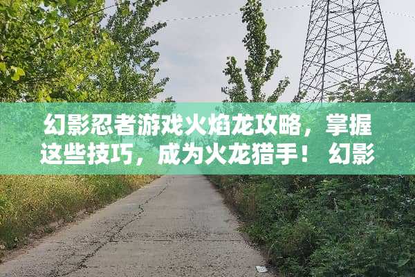 幻影忍者游戏火焰龙攻略,掌握这些技巧,成为火龙猎手! 幻影忍者游戏火焰龙攻略 幻影忍者游戏火焰龙攻略,掌握这些技巧,成为火龙猎手! 幻影忍者游戏火焰龙攻略